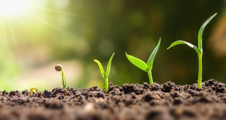 Slow Growth Is Still Growth